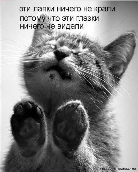 ,  !!! <a href=
