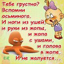 ���� �����, ������ - ��������� 19 ������ 2014 � ������ ������ ��������