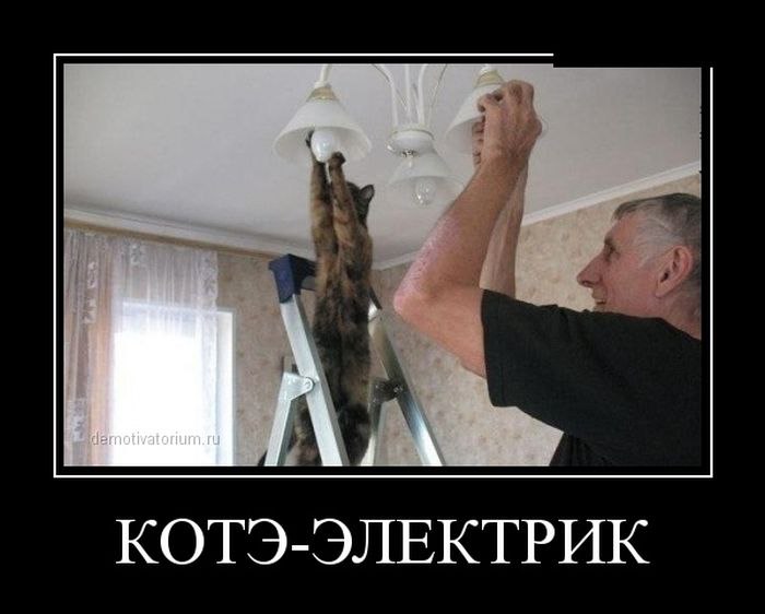   ,  : <a href=