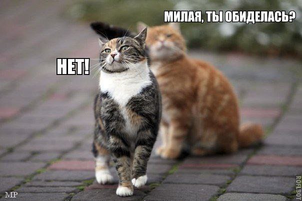 ...[a]_voe_so Le... - 15  2014  13:33