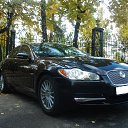 ���� �����, ������, 49 ��� - ��������� 15 ������� 2014 � ������ ������ ��������