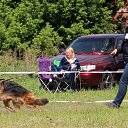        - 31.05.2014     - 2014