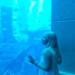 �������, ������, 47 ���