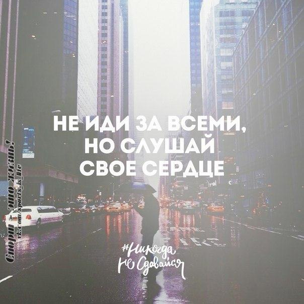  -   - 17  2014  09:25