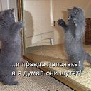 ���� Dima, ����, 44 ���� - ��������� 28 �������� 2014 � ������ ���� ����������