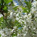  Stas, , 65  -  1  2014    