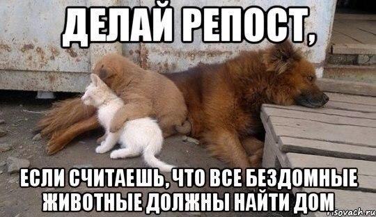    :D - 24  2014  10:17