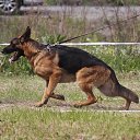      - 31.05.2014     - 2014