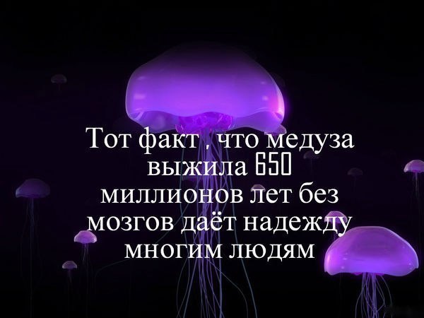  | ,  - 27  2014  13:38
