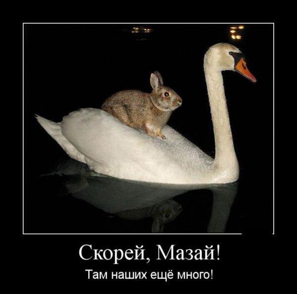 �������������� �� ���: fotostrana.ru/mix-humor