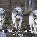 ���� Dtbj, �������, 69 ��� - ��������� 4 �������� 2014 � ������ ������ ��������