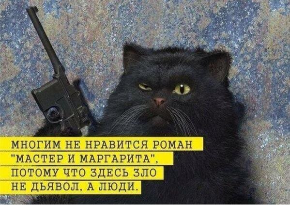     fotostrana.ru/public/237006 :-)