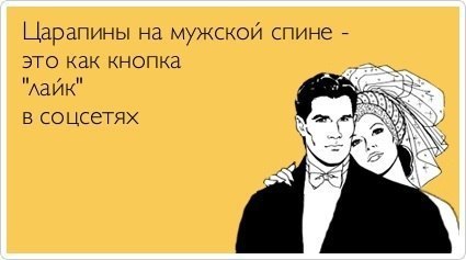  - 23  2014  13:10