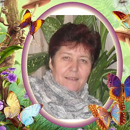 ���� �������, ����, 67 ��� - ��������� 4 ������� 2014