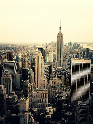   : <a href=