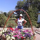 ���� �����, ������ - ��������� 6 �������� 2014 � ������ ���� ����������