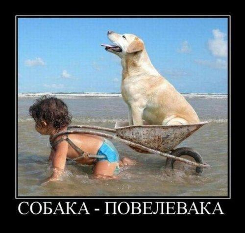 �������������� �� ���: <a href=