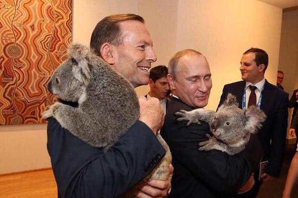Типичный Миллиардер.Энтони Эббот премьер Австралии и Владимир Путин мирно фотографируются с коалами ...