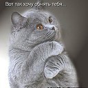 ���� ���, ������� - ��������� 10 ������� 2014 � ������ �������� ��� ��� �������