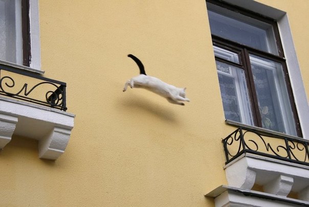 !