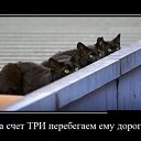 ���� Nataliya, �������, 52 ���� - ��������� 11 ������ 2014 � ������ ������ ��������