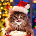 ���������� ���������! �� ������� ������ ��������