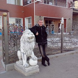 ������, ���������, 36 ���