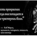 ���� ������, ������, 53 ���� - ��������� 12 ������� 2014 � ������ ������ ��������