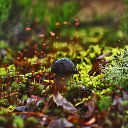 ���� �����, �����-��������� - ��������� 28 ������� 2014 � ������ �������� ����� 2014�