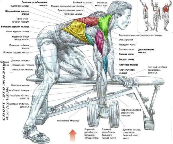 ����. 1 ���� ������ � �-������ ����������� ��� ���������� ��� ������������ ���������� ���� �����, ... - 2