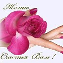 ���� �������, ������ - ��������� 12 ������� 2014 � ������ ������ ��������