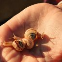 ���� ��������, ��������, 45 ��� - ��������� 27 ������ 2014 � ������ ������ ����