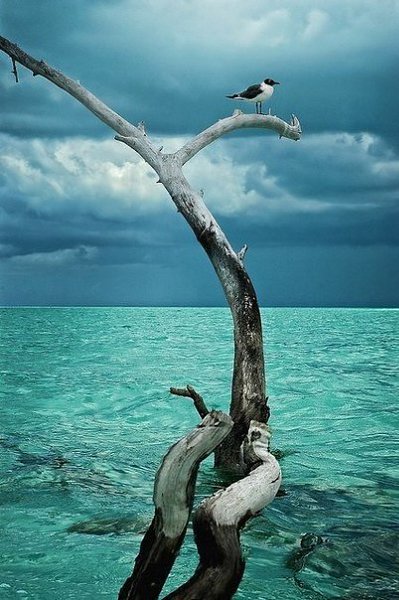 Подписывайтесь на нас: http://fotostrana.ru/public/233467 ;-) Прекрасный ландшафт Замечательная ... - 7
