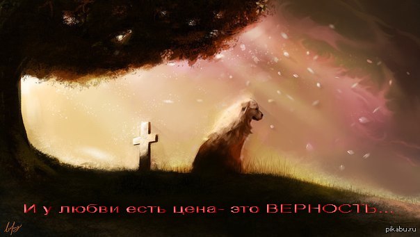  - 17  2014  12:23