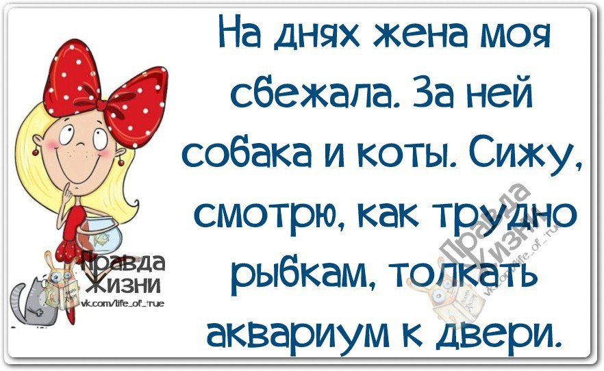   - 27  2014  01:40