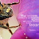 ���� ���������, ������, 43 ���� - ��������� 26 ������� 2014 � ������ ������ ��������