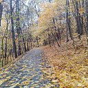 ���� Valka, ������, 63 ���� - ��������� 28 ������� 2014 � ������ ���� ����������
