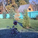 ���� ������, ������, 58 ��� - ��������� 29 ������� 2014 � ������ ���� ����������