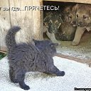 ���� ����������, ������, 49 ��� - ��������� 21 �������� 2014 � ������ ������ ��������