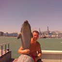 ���� ������, ������, 52 ���� - ��������� 9 �������� 2014