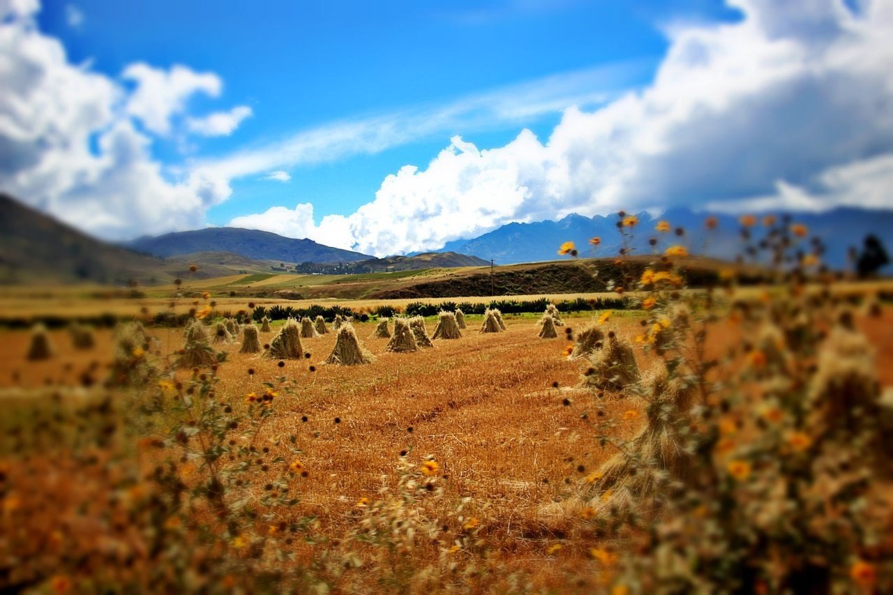   ,  , .#@travel.blog - 5