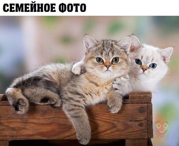 Art & Fun - 20  2014  00:01