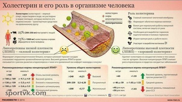 Что такое холестерин и с что с ним делать? Холестерин – это вещество, которое содержится во всех ...
