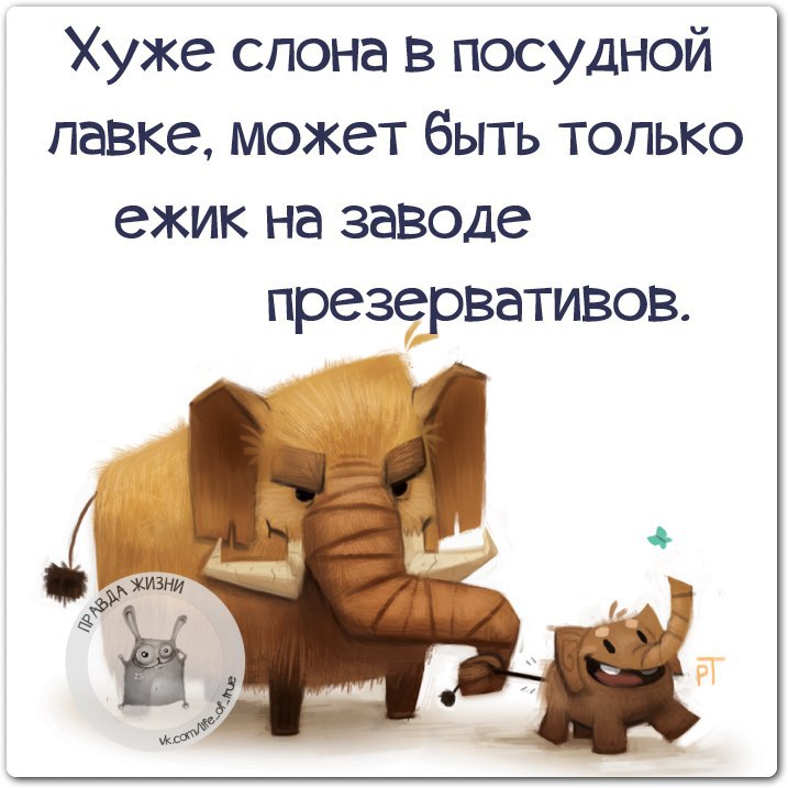 Слон в посудной лавке басня. Слон в посудной лавке. Слон в посудной лавке басня. Слоник в посудной лавке. Слоник в посудной лавке.