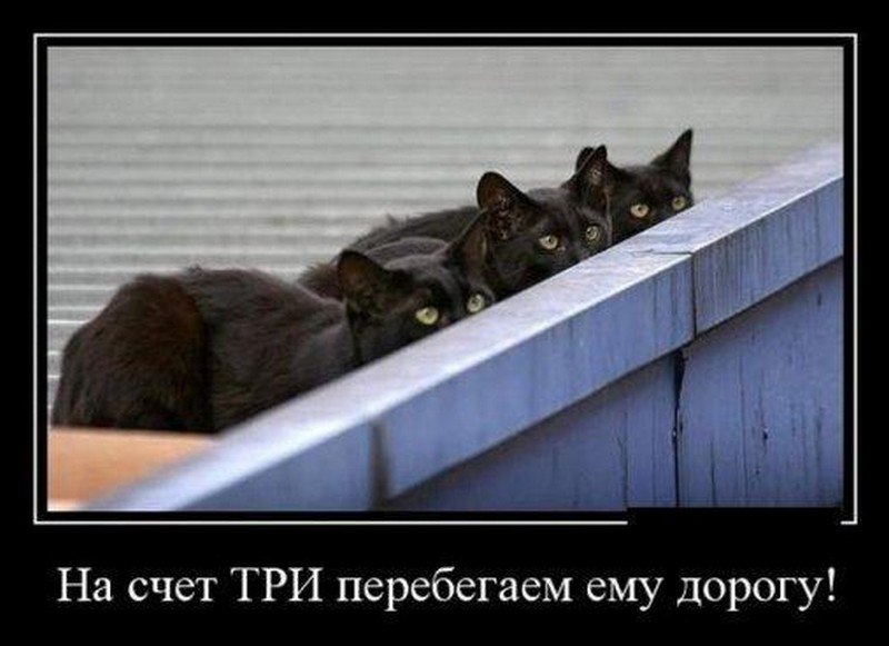Sergey - 5  2014  22:56