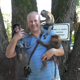 ��������, �����-���������, 69 ���