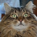 ���� ����������, ������� ��������, 63 ���� - ��������� 30 ������ 2014 � ������ ������ � �����