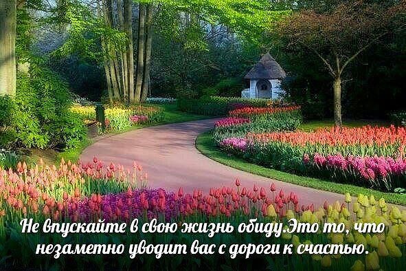...[a]_voe_so Le... - 24  2014  09:01