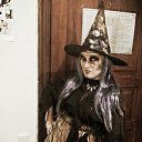 ���� �����, ������, 36 ��� - ��������� 1 ������ 2014 � ������ ���� ����������