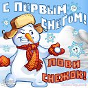���� ��������, ���������, 44 ���� - ��������� 8 ������ 2014 � ������ ������ ��������